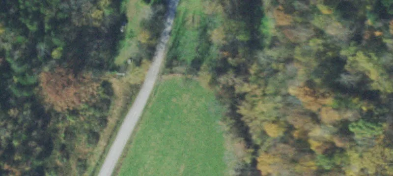 Timberland and Pasture Tract