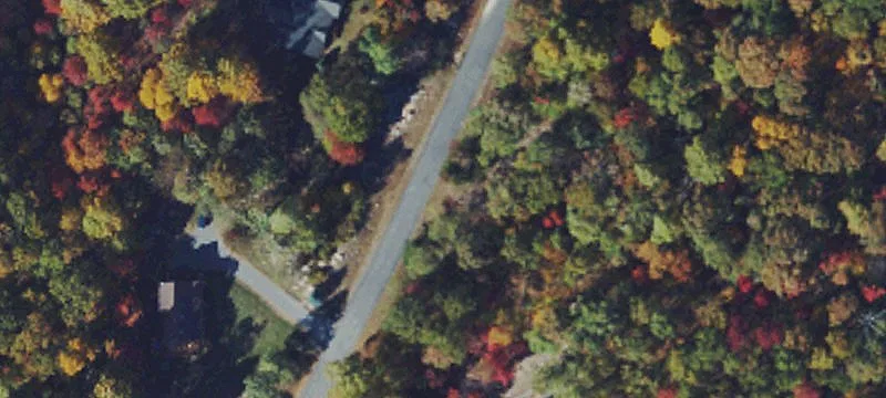 Wooded Building Lot