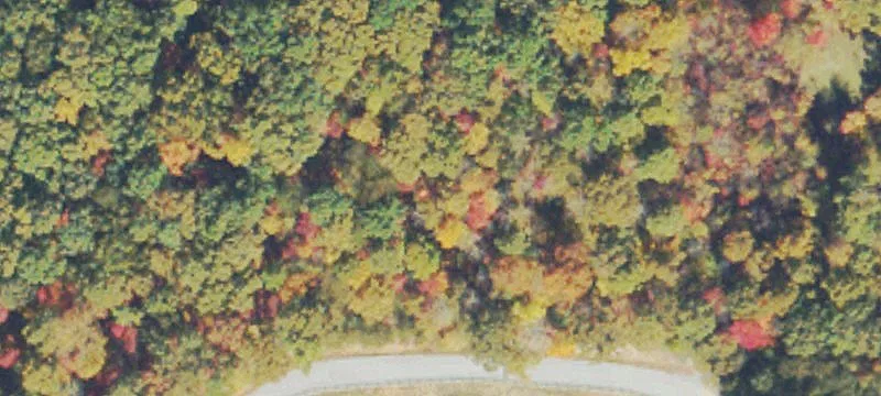 Wooded Residential Home Lot