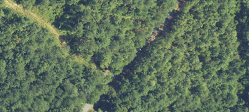 Hunting Land with Pond and Cabin