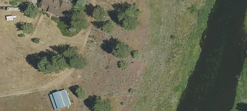 Residential Cabin Lot with Pines