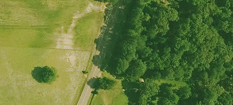 Timber Land with Road Frontage