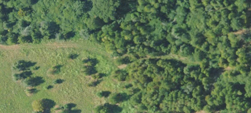 Vacant Agricultural Land Parcel
