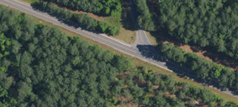 Wooded Land Parcel