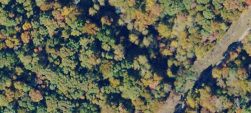 Wooded Residential Land Parcel