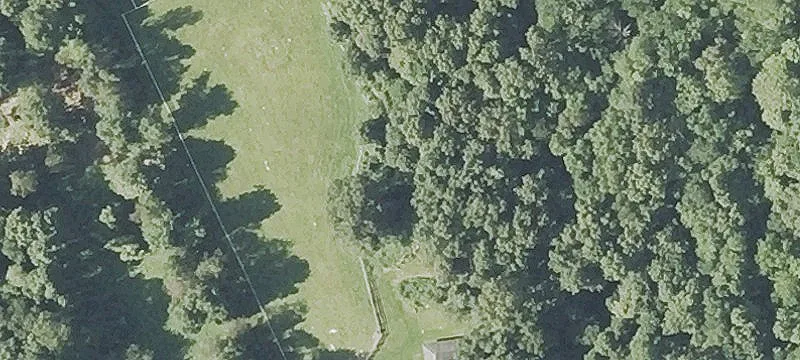 Horse & Livestock Farm with Barn