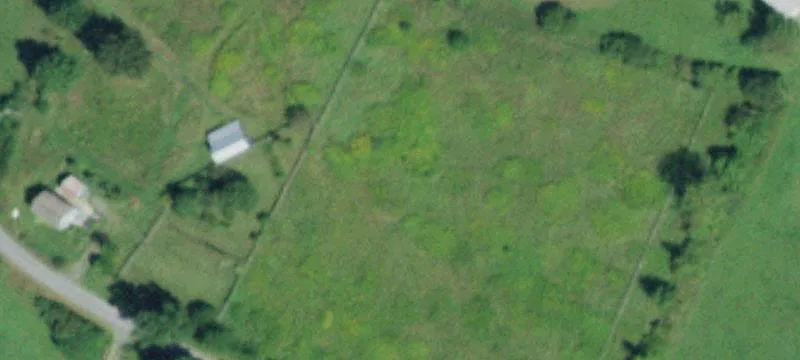 Wooded Residential Land with Road Frontage