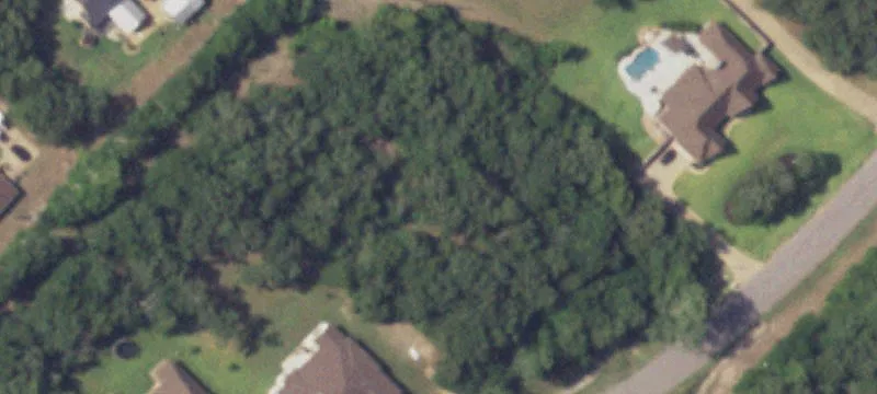 Residential Development Lot with Mature Trees