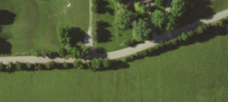 Ranch Home with Barn and Pasture