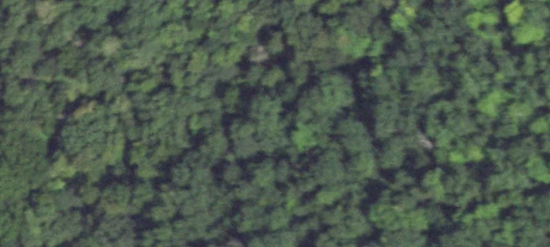 Recreational Hunting Land Parcel