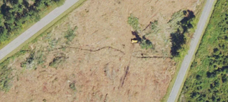 Recreational Timber Management Land
