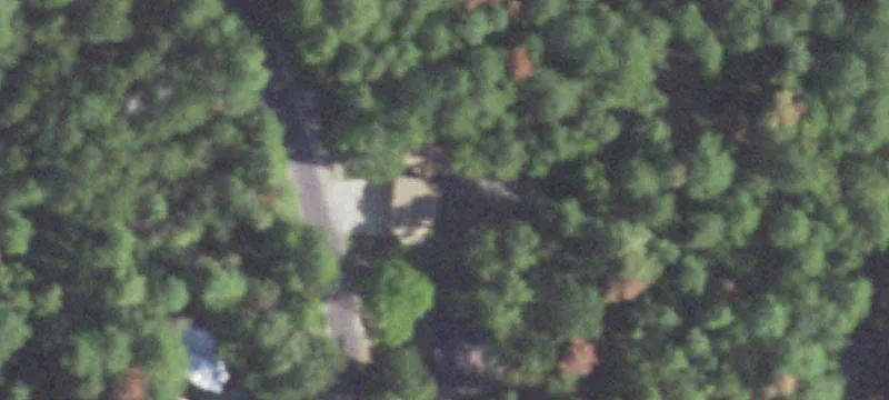Wooded Corner Home Lot