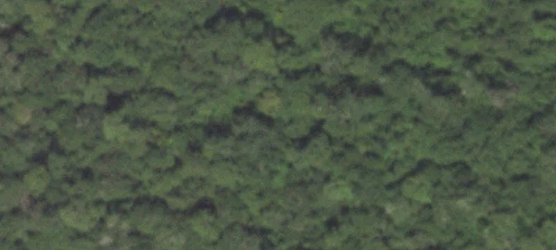 Uncleared Recreational Land Tract
