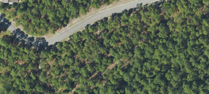 Wooded Residential Lot in Gated Community