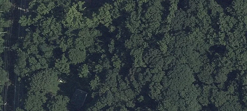 Wooded Residential Development Land