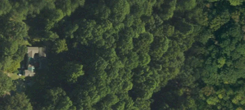 Wooded Homesite Land Parcel