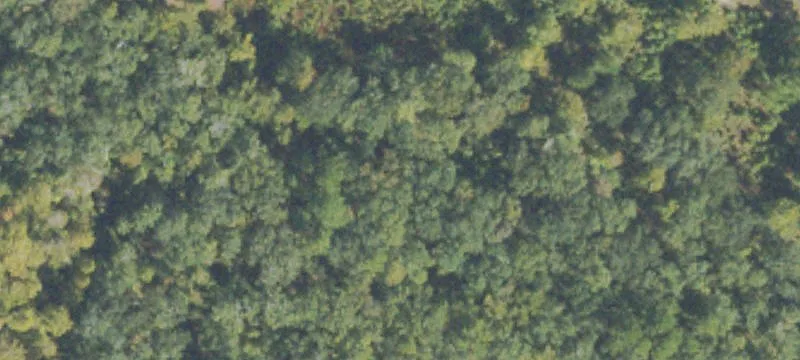 Marsh-Front Residential Homesite