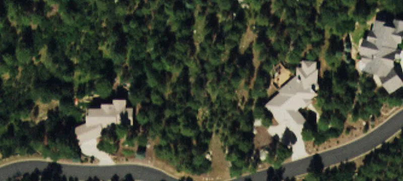 Flat Treed Homesite Backing Preserve