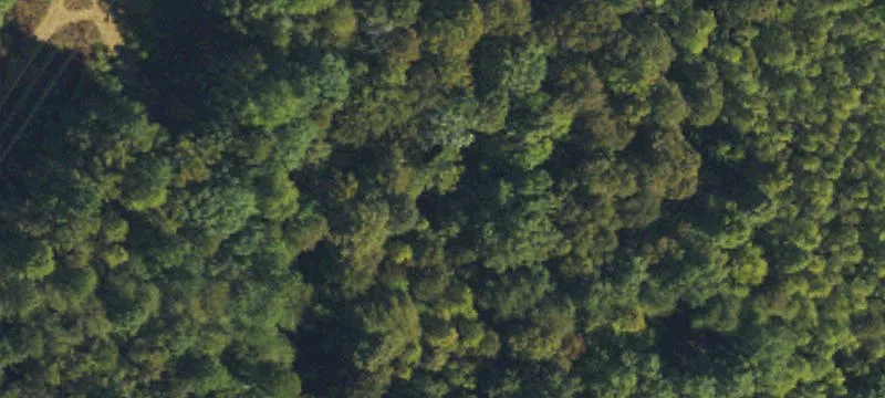 Residential Homesite on 5.5 Acres
