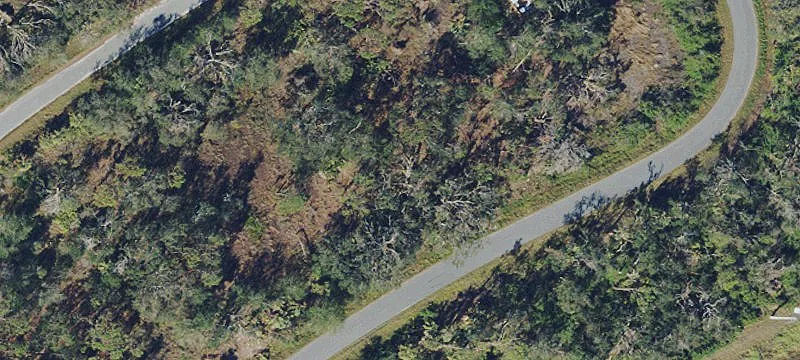 Oversized Wooded Residential Homesite