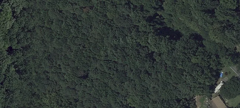 Wooded Homesite with Percolation Approval