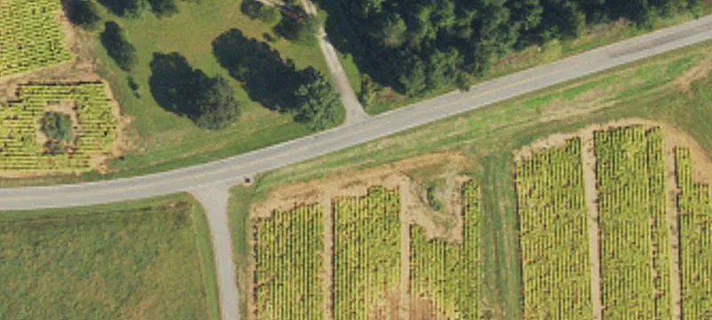 Residential Land Lot with Septic Potential
