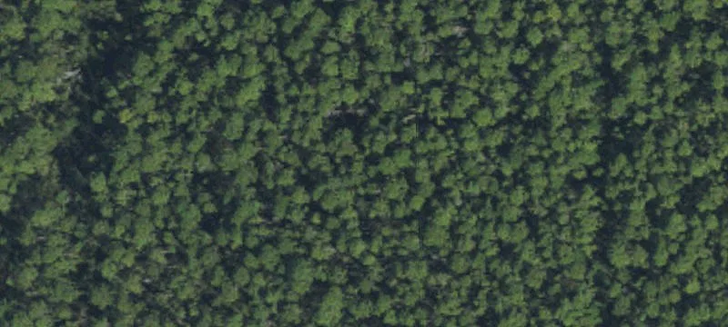 Two-Parcels Agricultural Land Opportunity