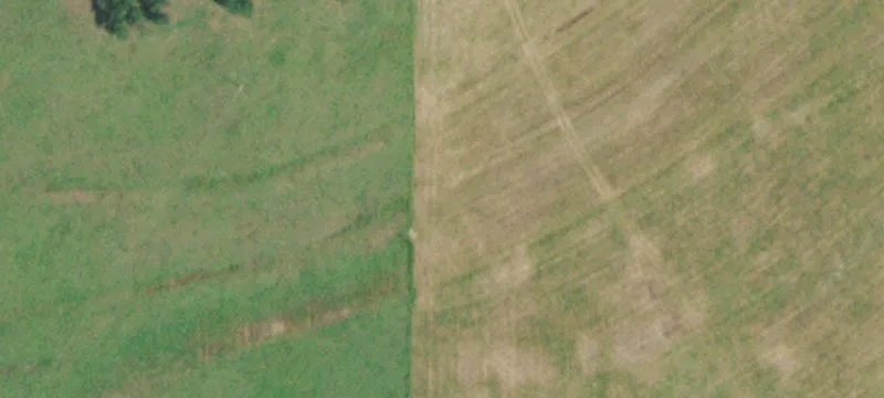 Creekfront Pasture Land