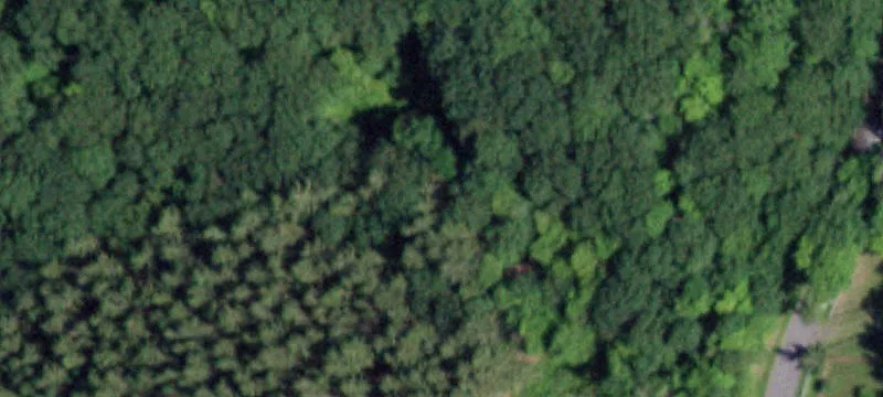 19-Acre Buildable Land Parcel