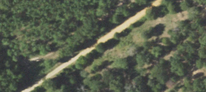 Fenced Agricultural Land with Timber