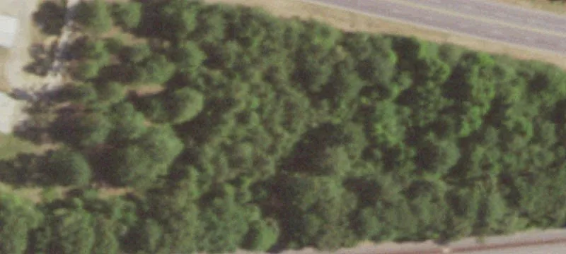 Office and Shop with Roll-Up Doors