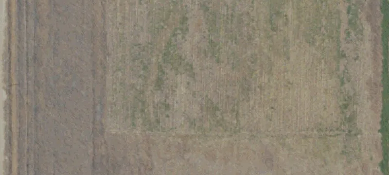 Agricultural Land with Horse Facilities