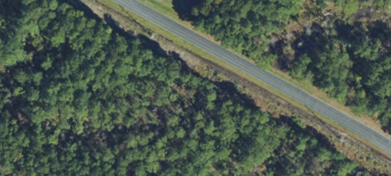 Residential Home Lot with Mature Trees