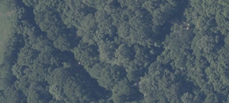 Wooded Hunting Land with Outbuildings