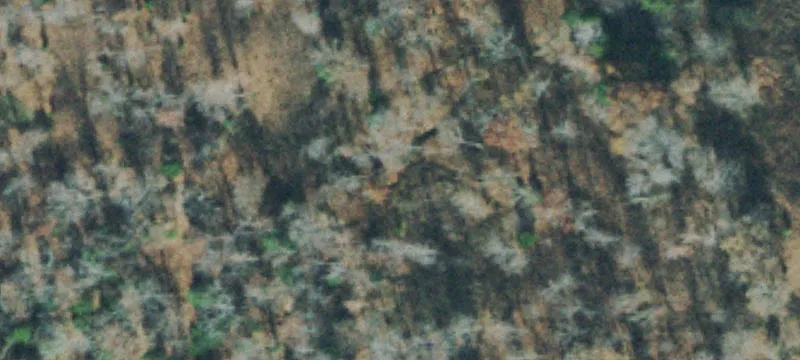 Rural Farmstead Land with Pond