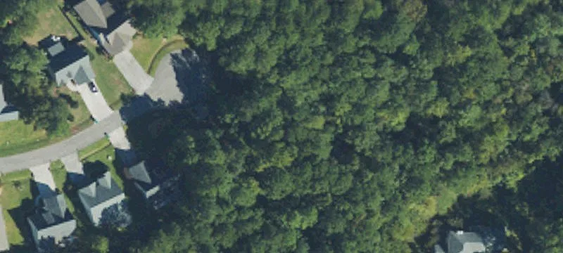 Wooded Homesite on Cul-de-Sac