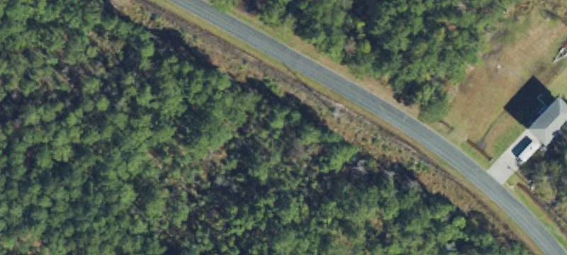 Residential Building Lot with Trees