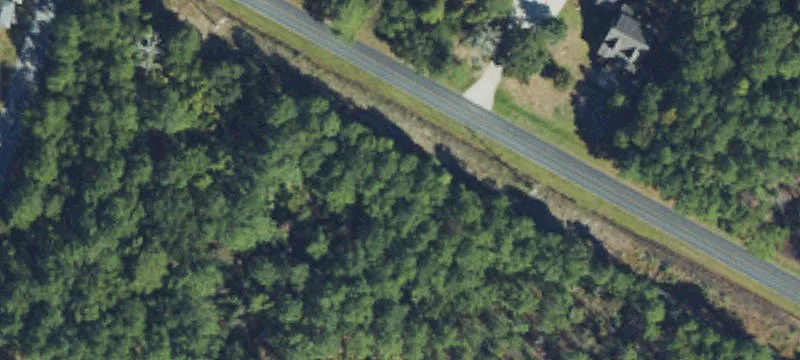 Residential Building Lot with Trees