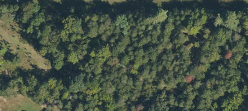 Vacant Land with Road Frontage