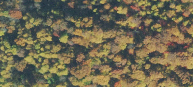 Waterfront Recreational Land Parcel