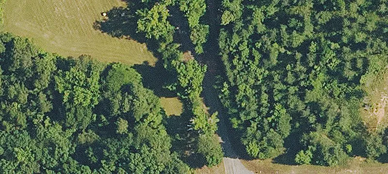 Timberland Tract with Road Frontage
