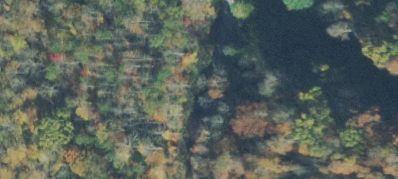 Unrestricted Hunting and Homestead Land