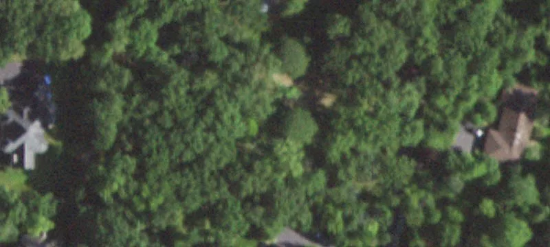 Wooded Residential Home Lot