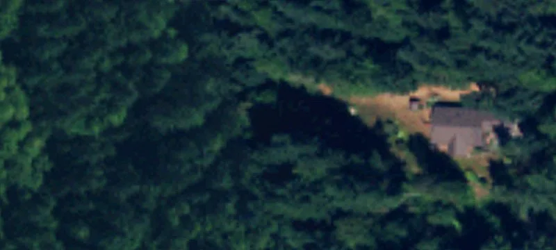 Forested Residential Development Land