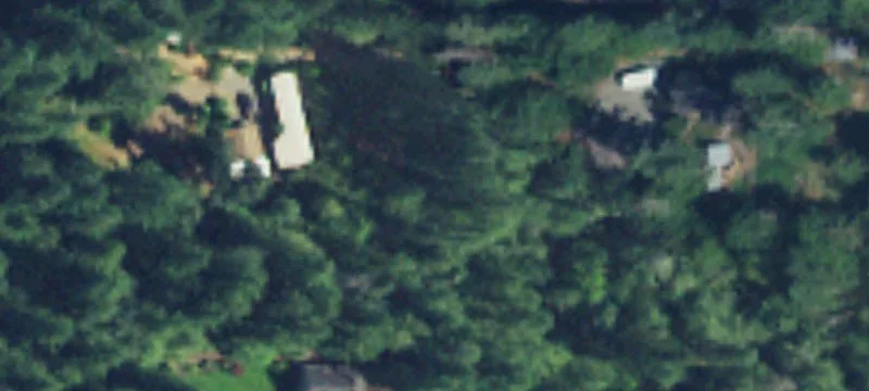 Gated Forest Land Parcel