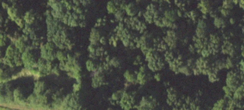 Agricultural Land Parcel