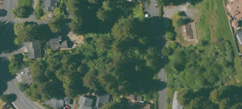 Steep Redwood Hillside Lots