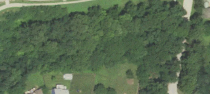 Residential Land Parcel with Trees