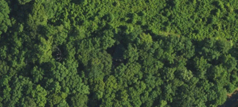 Wooded Creekside Home Site