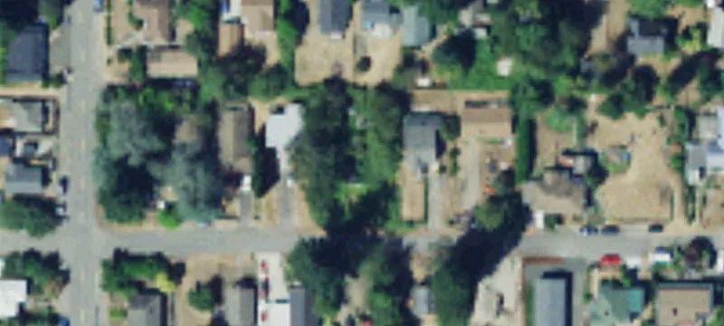 Overgrown Residential Development Lot